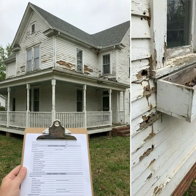 Home inspector documenting termite damage to exterior siding